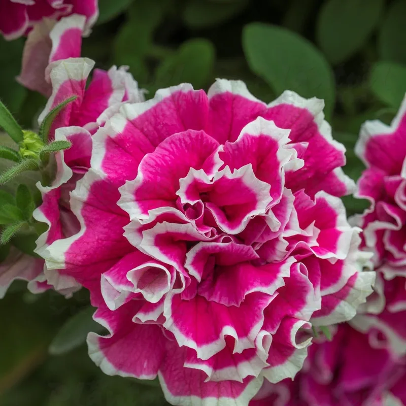 Фото 2