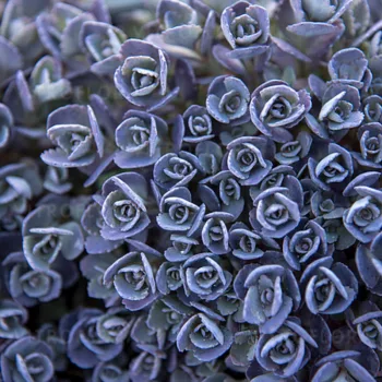 Фото 1