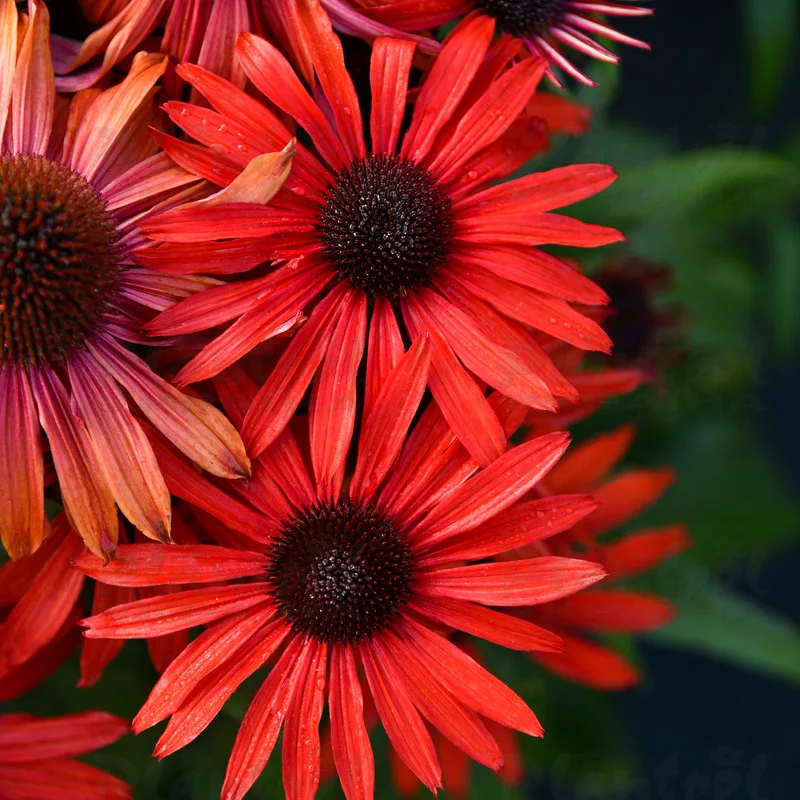 Фото 2