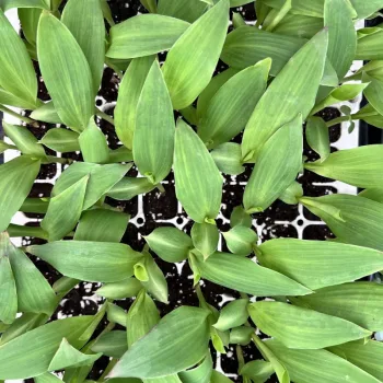 Фото 6