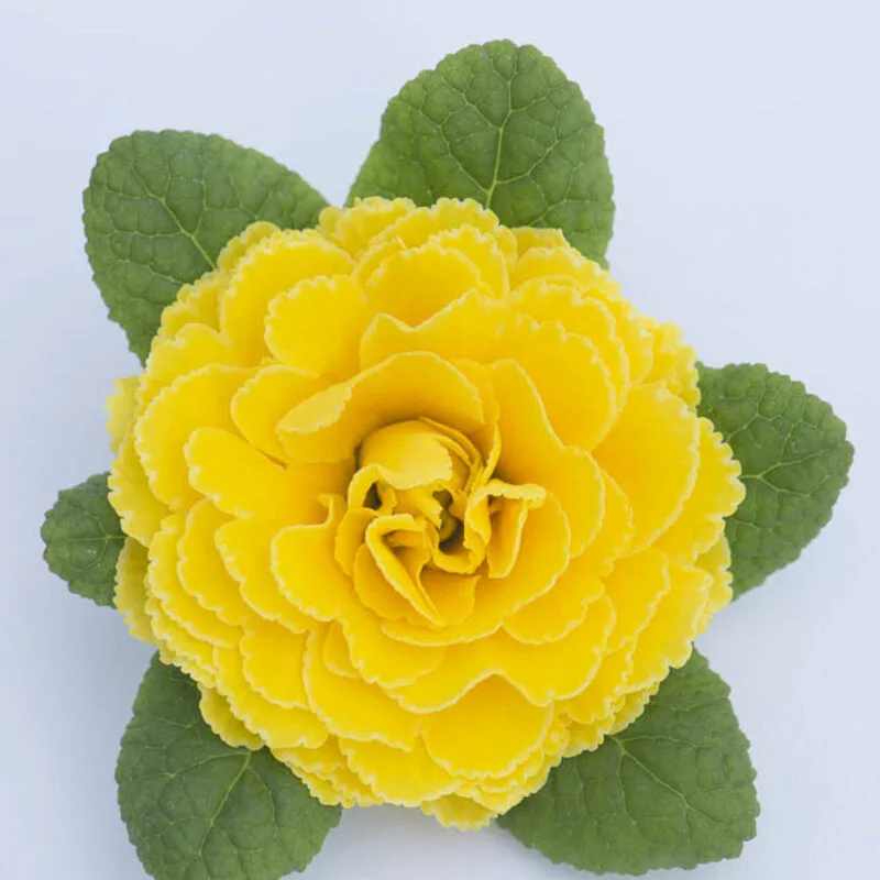 Фото 2
