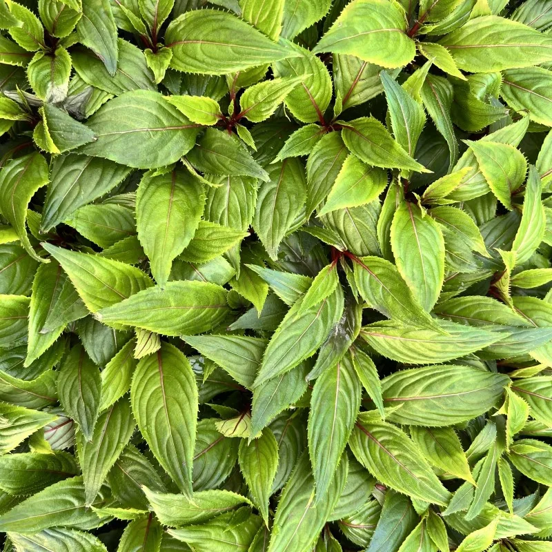 Фото 3