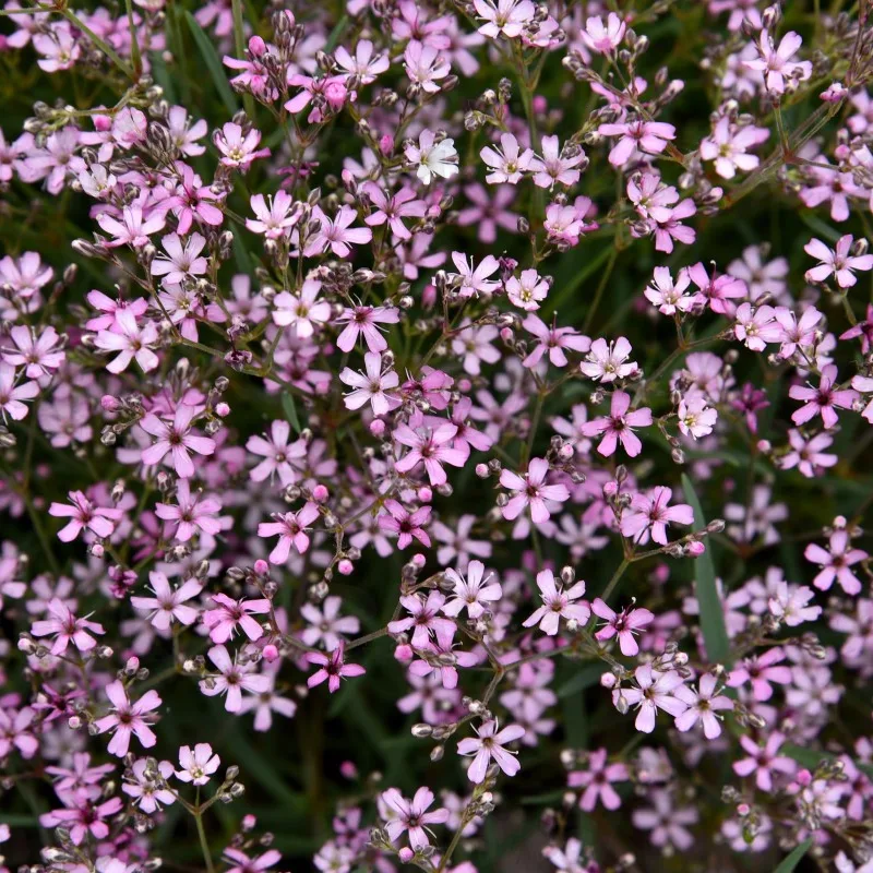 Фото 1