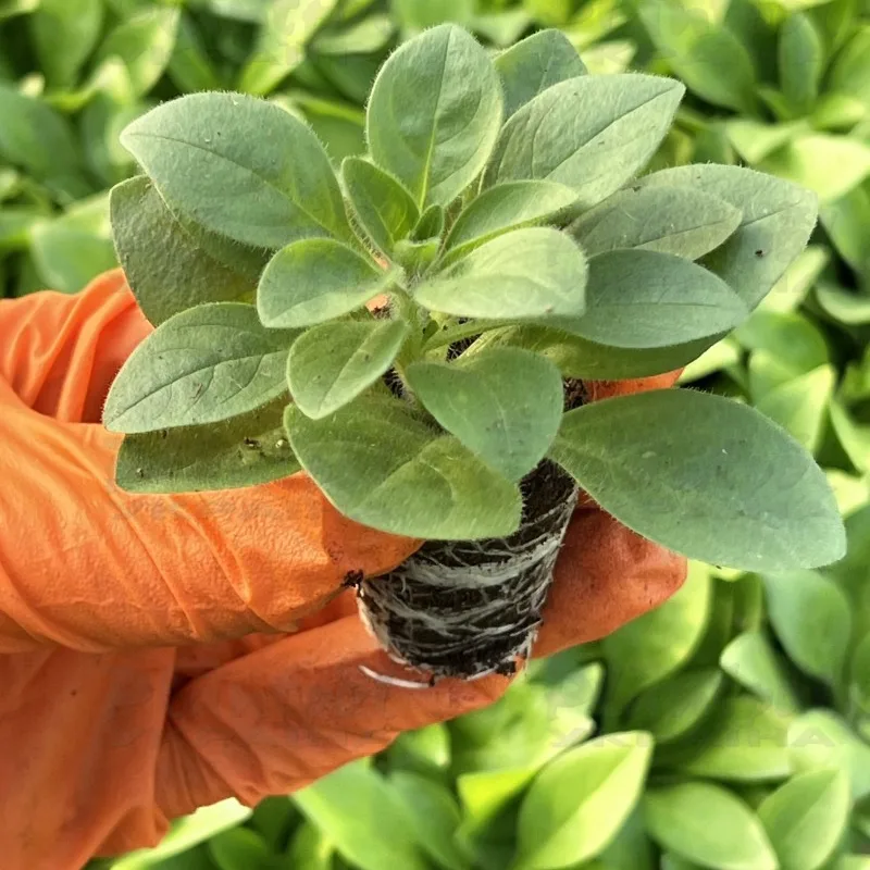 Фото 3