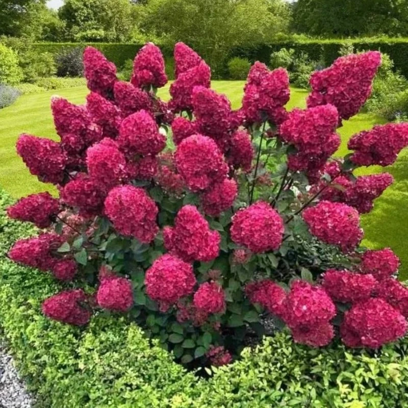 Фото 2
