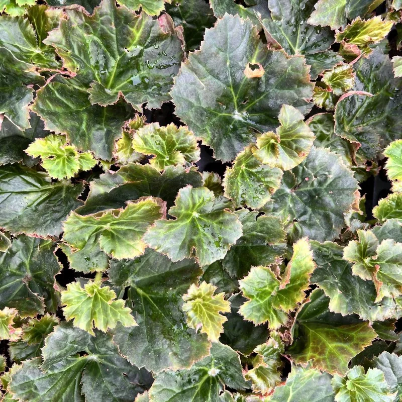 Фото 4