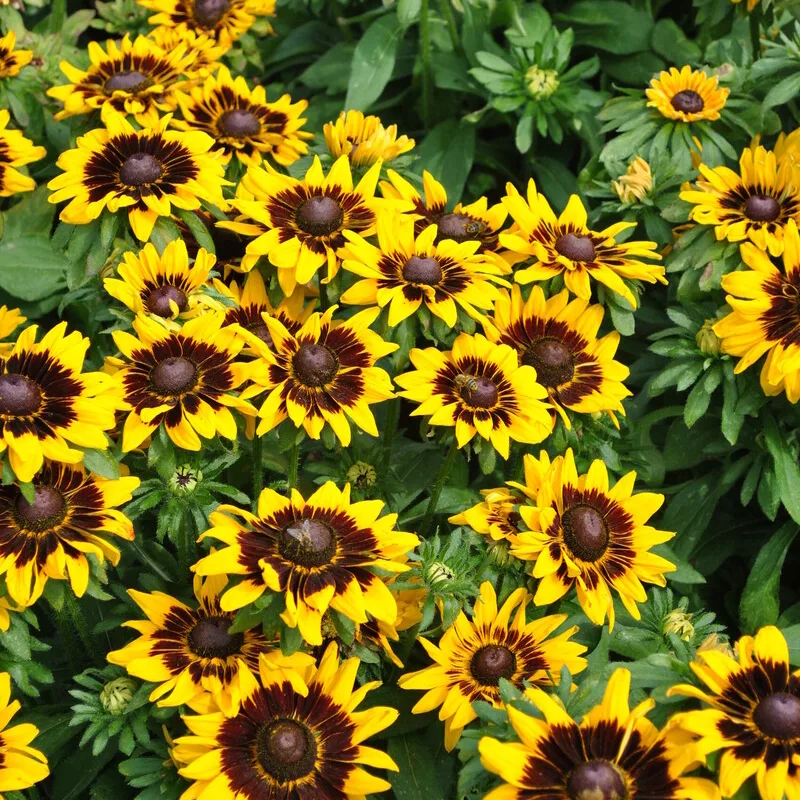 Фото 2