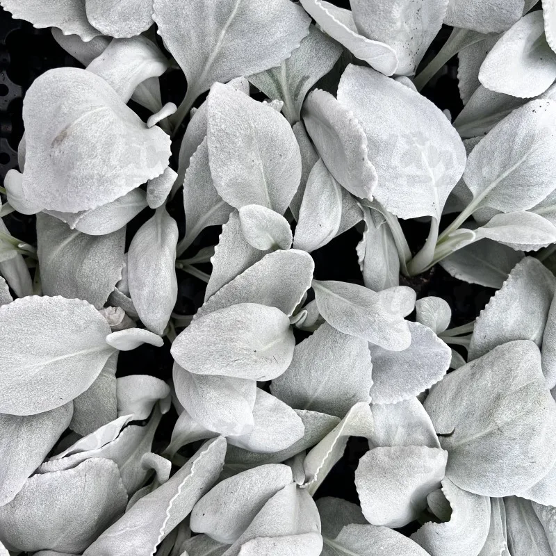 Фото 3