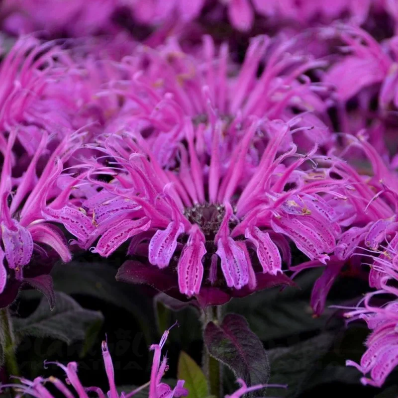 Фото 2