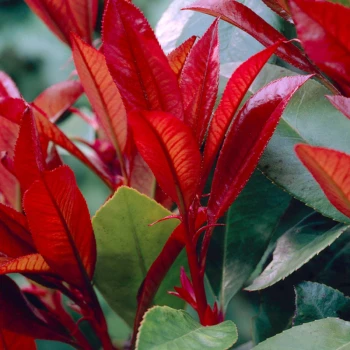 Фото 2