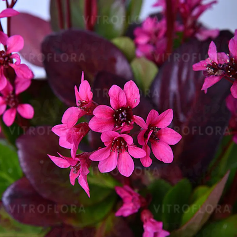 Фото 2