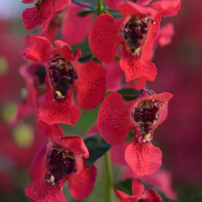 Фото 2