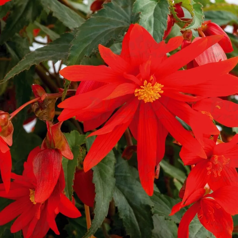 Фото 2