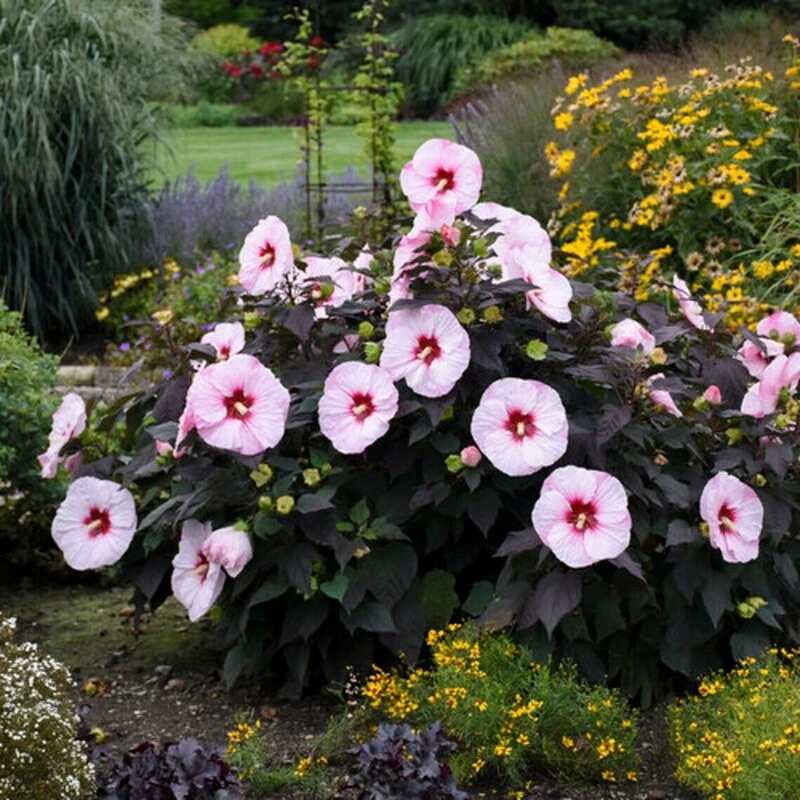 Фото 2