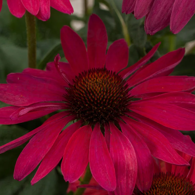 Фото 3