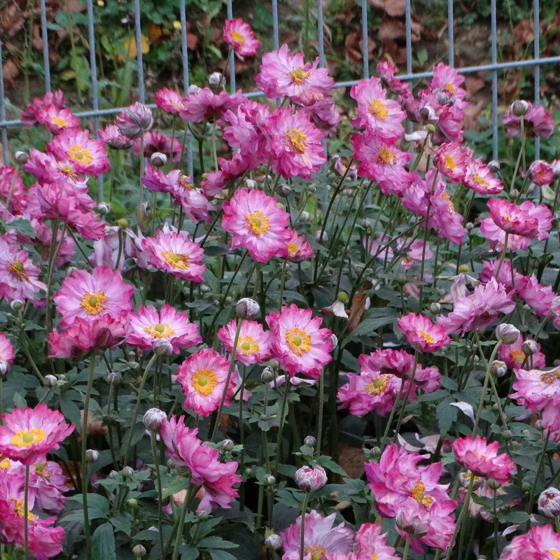 Фото 2