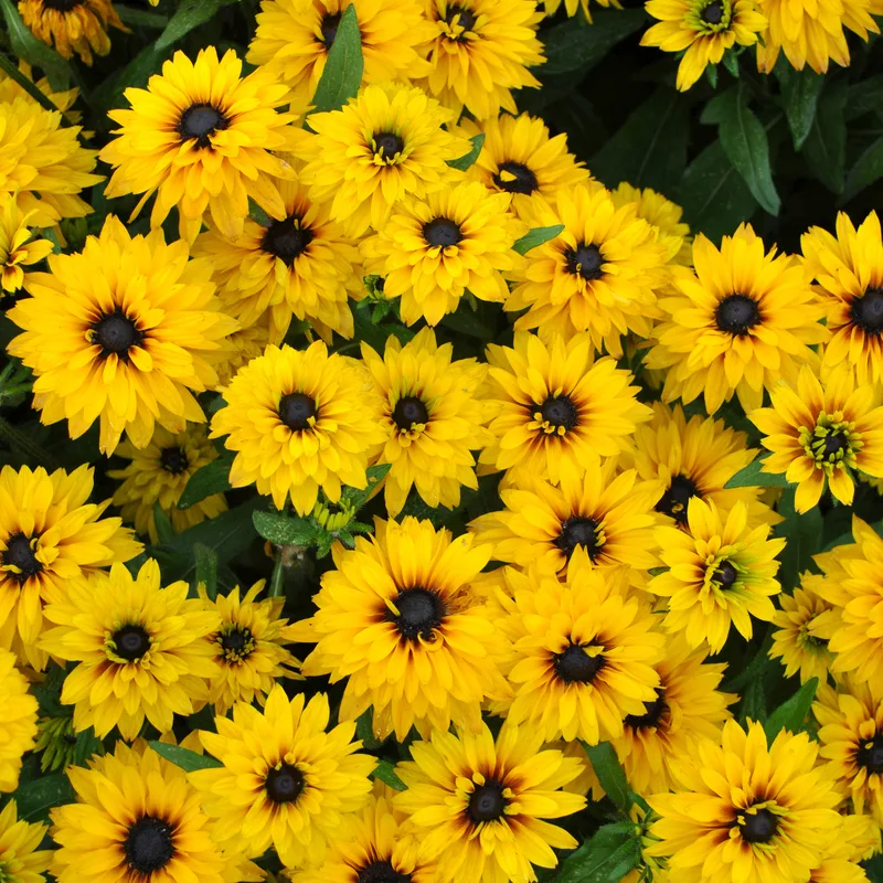 Фото 1