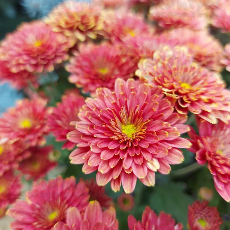 Фото 6