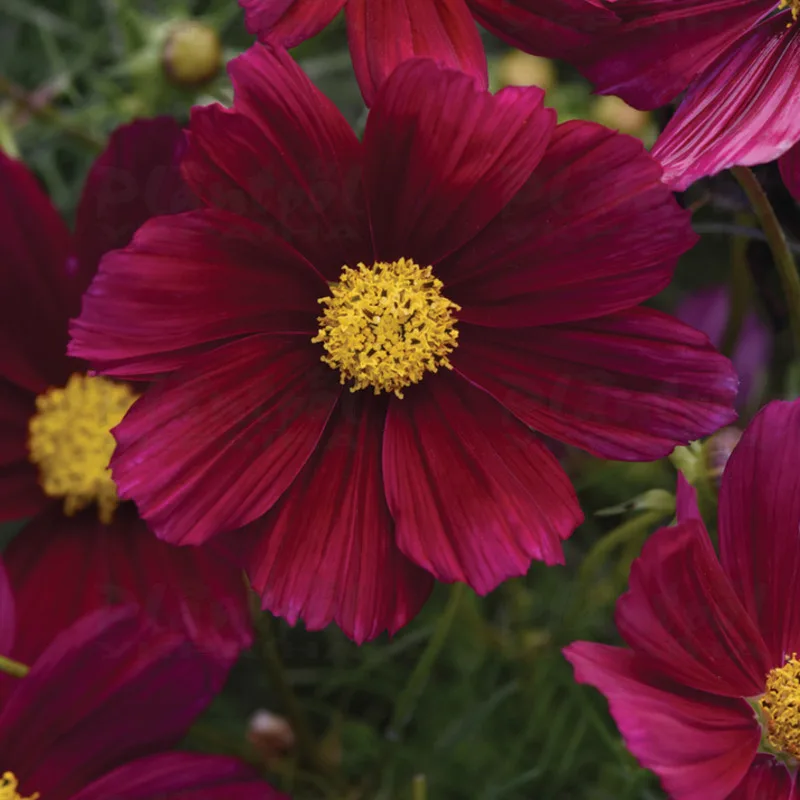 Фото 2