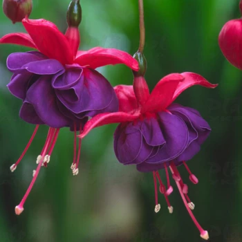 Фото 2