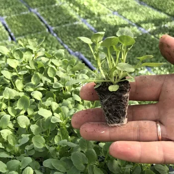 Фото 2