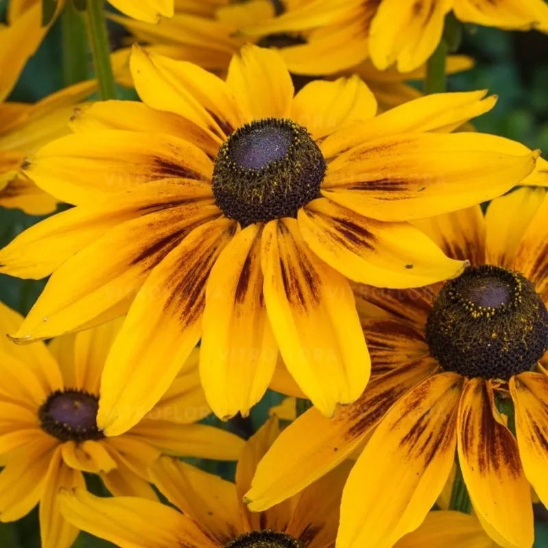 Фото 2