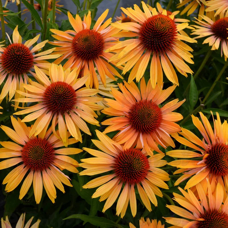 Фото 2