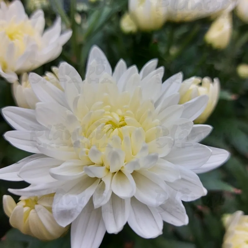 Фото 6