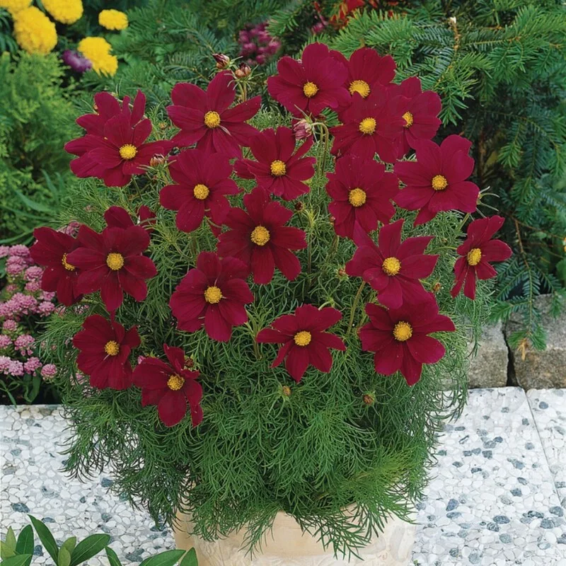 Фото 2