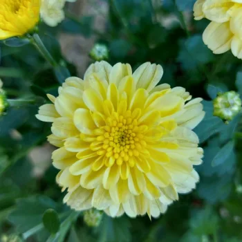 Фото 6