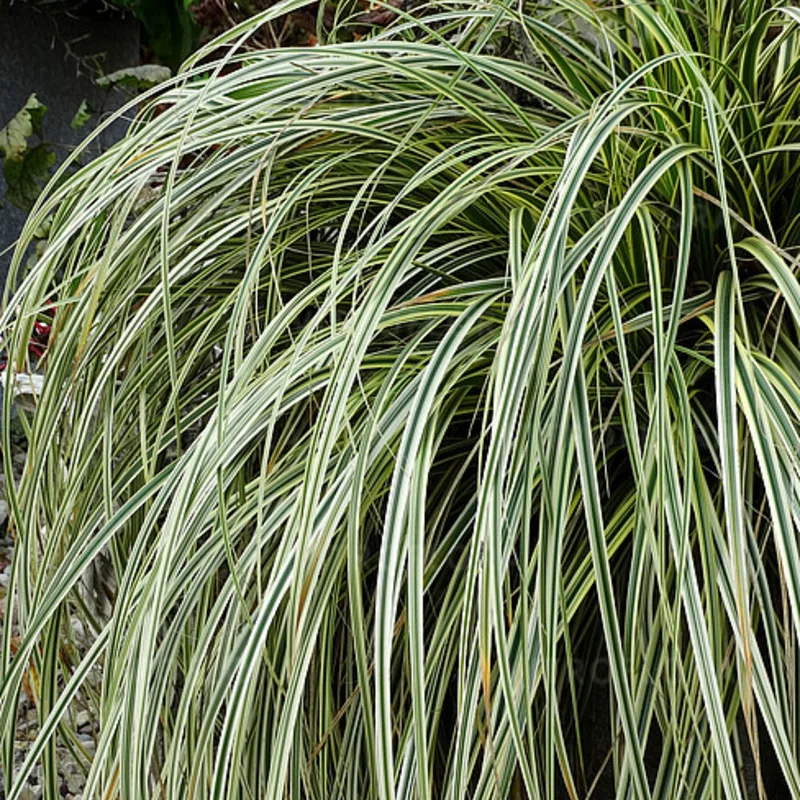 Фото 1