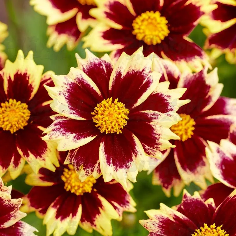 Фото 1
