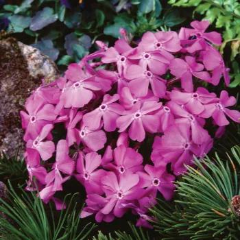 Фото 2