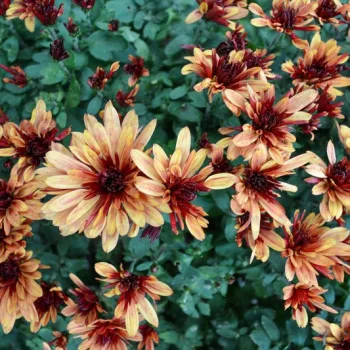 Фото 2