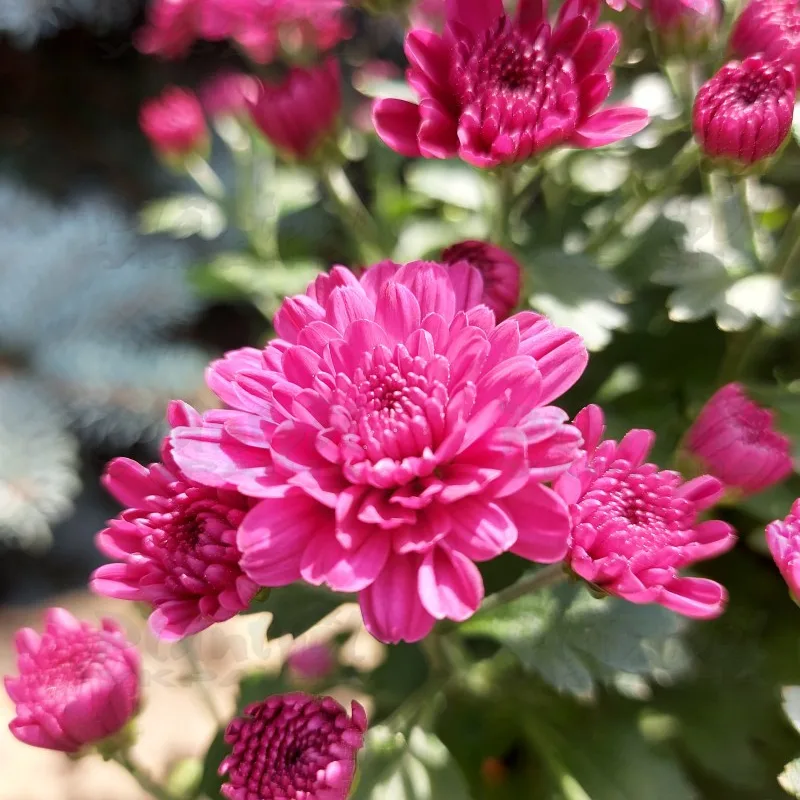 Фото 6