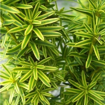 Фото 2