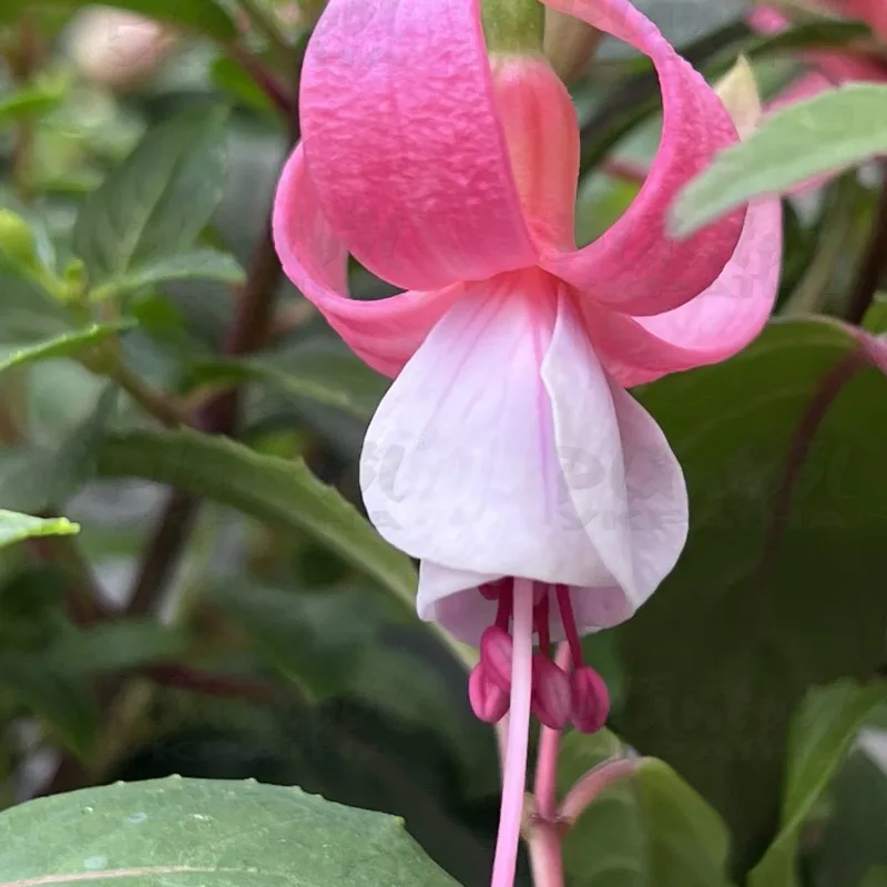 Фото 4