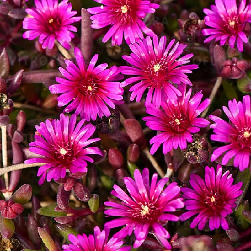 Фото 1