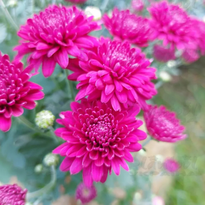 Фото 6