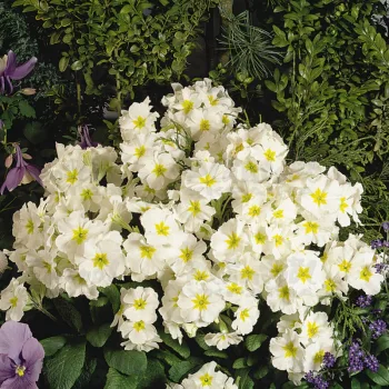 Фото 2