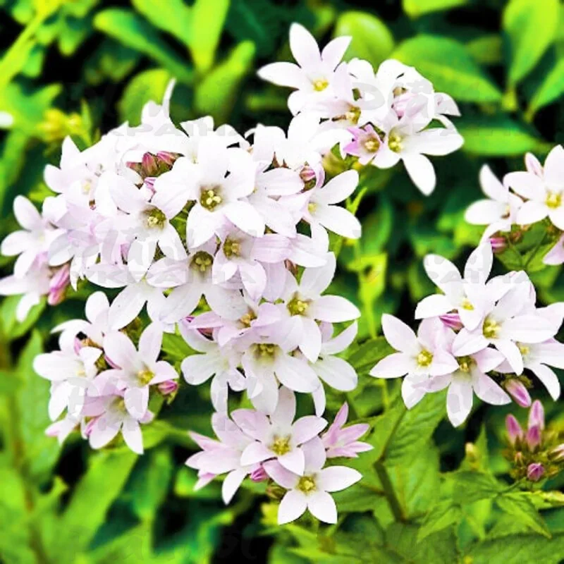 Фото 1