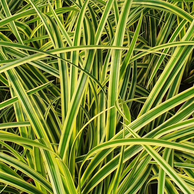 Фото 1