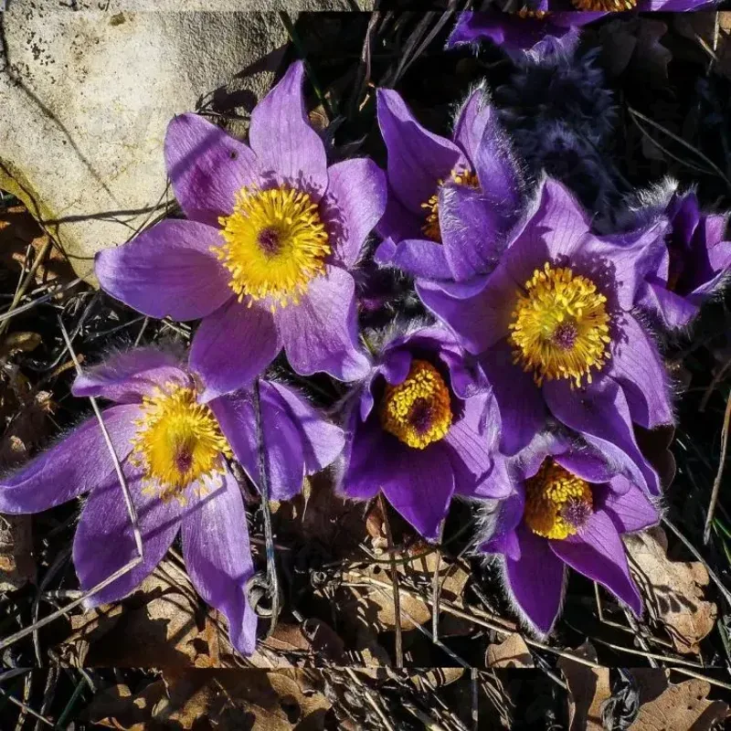 Фото 2