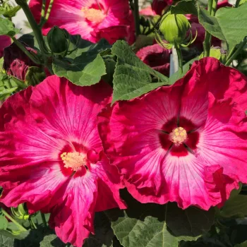 Фото 2