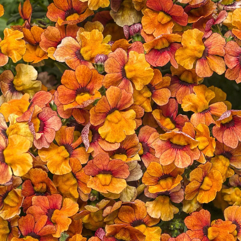 Фото 2