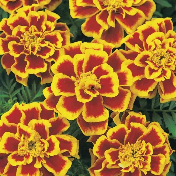 Фото 2
