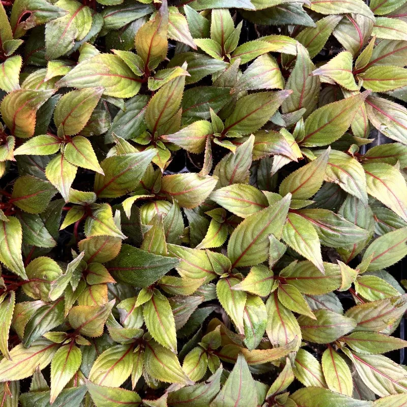 Фото 3