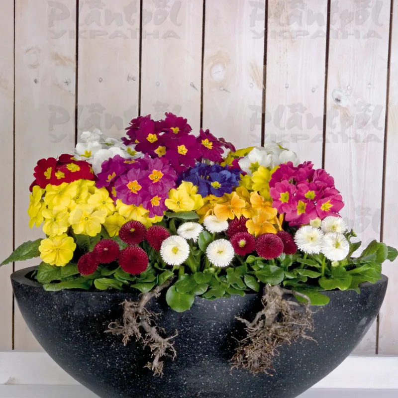 Фото 3