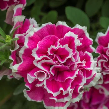 Фото 2