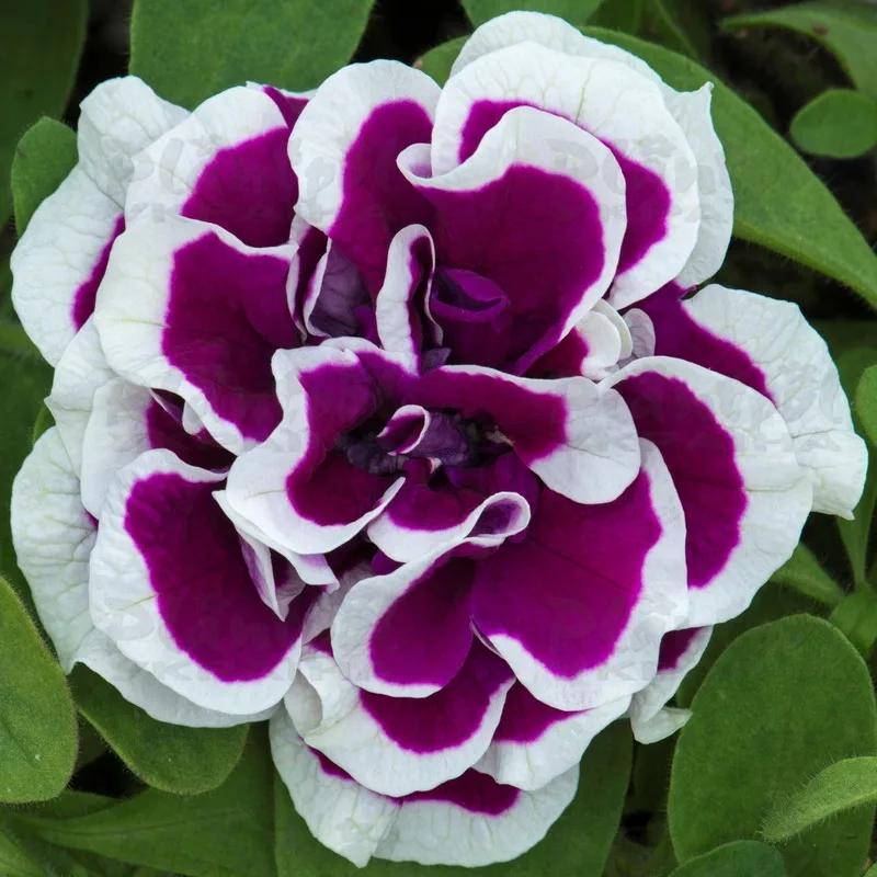 Фото 2